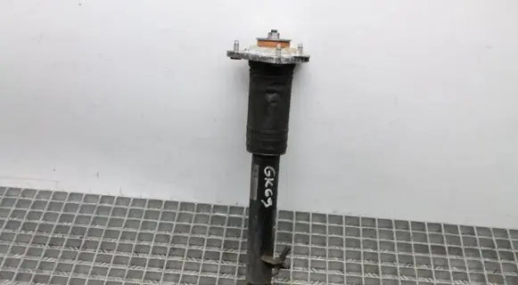 BMW X5 E70 Rear shock absorber/damper