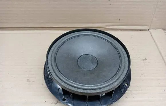 Volkswagen PASSAT B7 Rear door speaker 3C8035453 900475460062