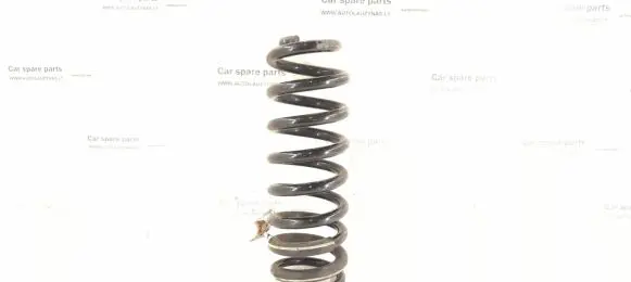 Mercedes-Benz GLE (W166 - C292) Rear coil spring 1643240204 1643202920