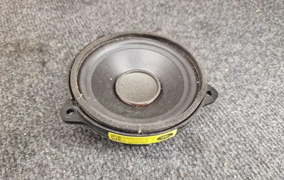 Land Rover Range Rover Evoque L551 Panel speaker GX7318808EA GX7318808