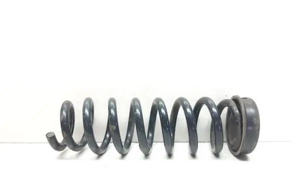 Rear coil spring