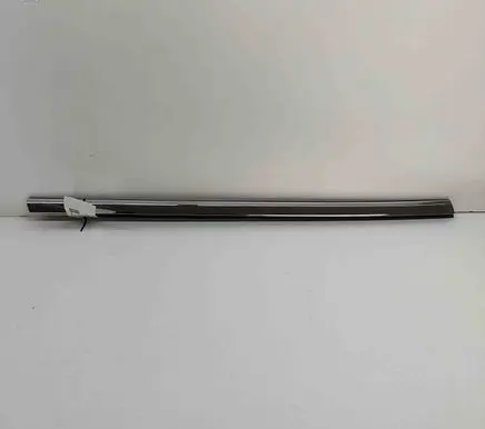 Tesla Model S Door glass trim 109592000C