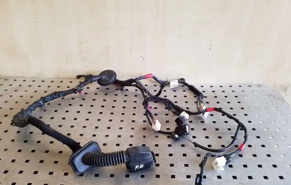KIA Sorento Front door wiring loom 916012P321
