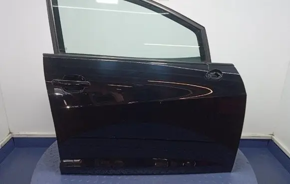 Seat Ibiza IV (6J,6P) Front door 