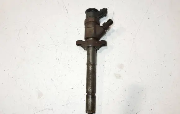 Peugeot Partner Fuel injector 0445110311