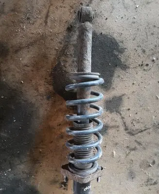 Dodge Journey Rear shock absorber with coil spring 