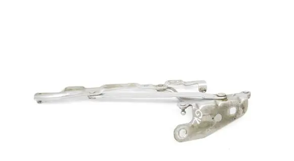 Tailgate/trunk/boot hinge