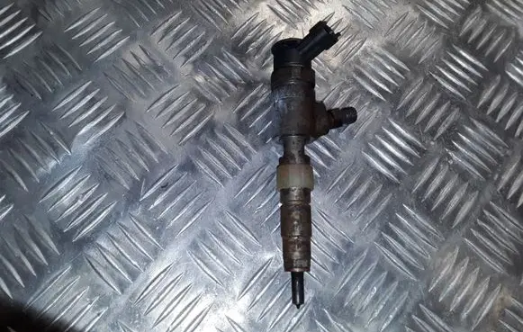 Citroen C3 Picasso Fuel injector 0445110340