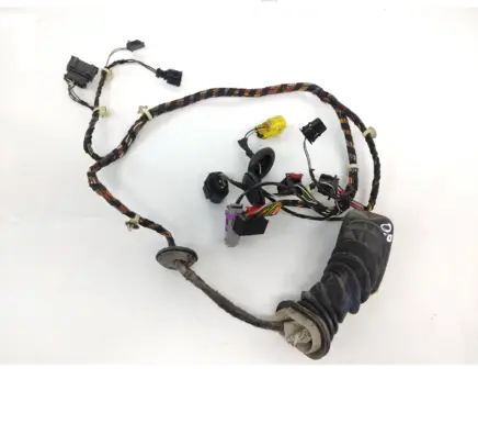 Front door wiring loom