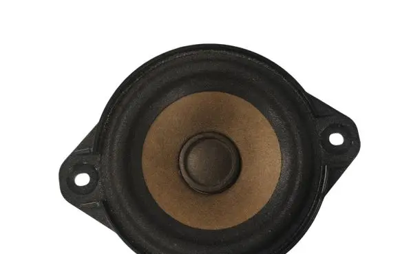Tesla Model S Rear door speaker 100483301A