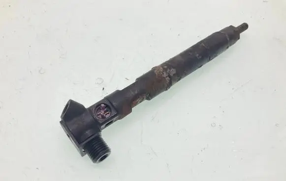 Mercedes-Benz Sprinter W906 Fuel injection (other) A6510700987 503917843 R736LZ91A6