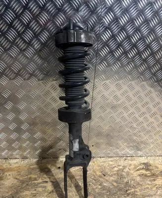 Porsche Cayenne (92A) Front shock absorber/damper 95834304400