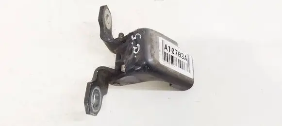 Renault Megane III Rear door lower hinge