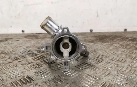 Thermostat/thermostat housing
