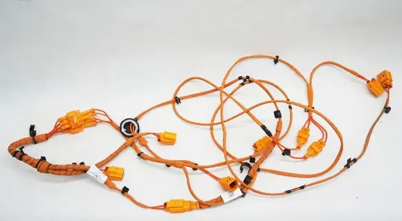 Volkswagen ID.5 Other wiring loom 1EA971475C