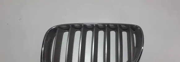 BMW X5 E53 Front grill 51137113737