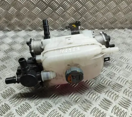 Genesis GV60 Coolant expansion tank/reservoir 25429CU500 369100EKJ0