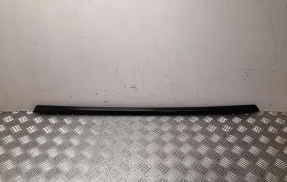 Tesla Model Y Rear door trim (molding) 149572000D