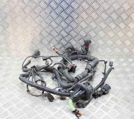 Porsche Panamera (970) Other wiring loom 97061029300