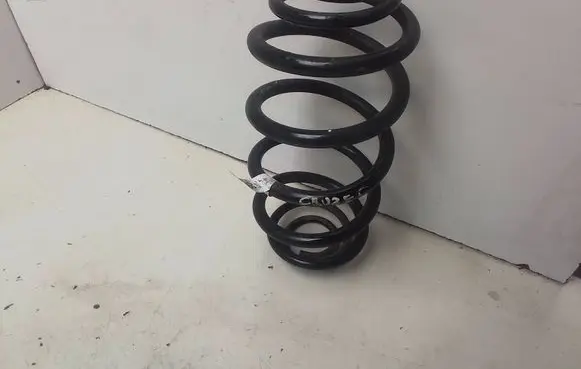 Rear coil spring