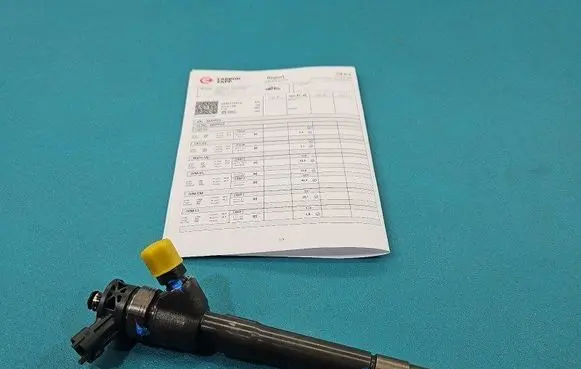 Nissan Qashqai Fuel injector 0445110414 IMPRK1499455