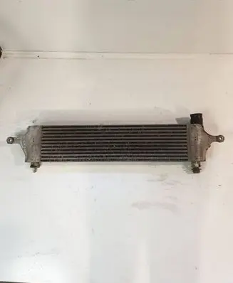 Nissan Qashqai Intercooler radiator 14461JD50B G3062005