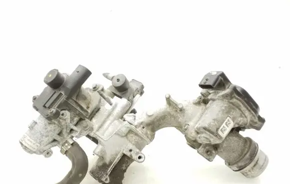 Renault Megane III Throttle valve 8200614985