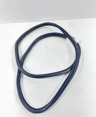 Peugeot 308 Front door rubber seal 9677519680