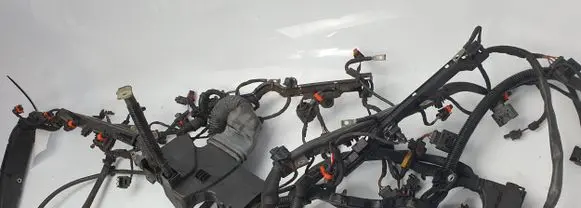 Engine installation wiring loom