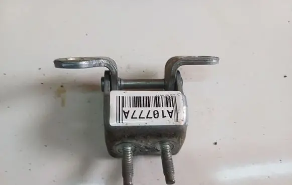 Rear door lower hinge