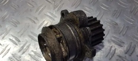 Volkswagen Golf V Water pump 038121019d