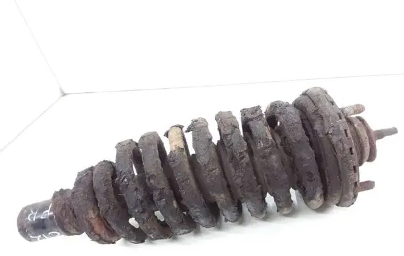 SsangYong Rexton Front shock absorber with coil spring
