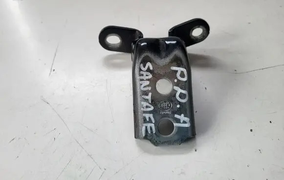 Hyundai Santa Fe Front door lower hinge 