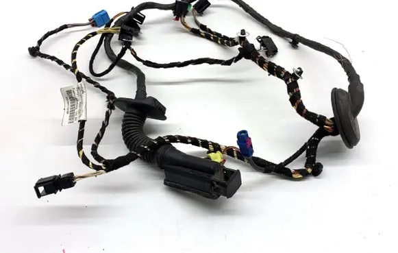 Volkswagen PASSAT B8 Front door wiring loom 3G1971121BF