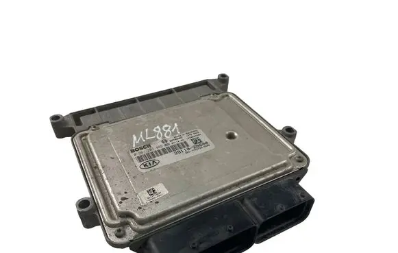 KIA Ceed Engine control unit/module 391102B600 0261201852