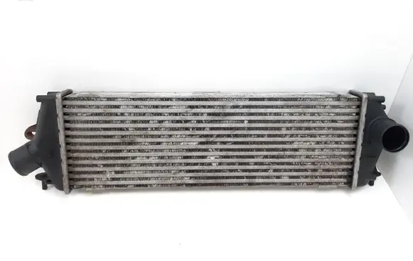 Opel Vivaro Intercooler radiator 8200411160 93854162
