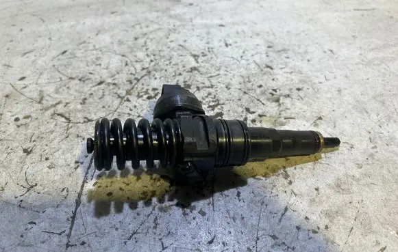 Skoda Octavia Mk2 (1Z) Fuel injector 038130073BN