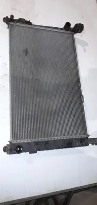 Mercedes-Benz A W169 Coolant radiator A1695000703 A9177