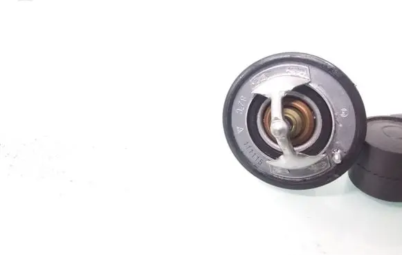 Toyota RAV 4 (XA30) Thermostat/thermostat housing