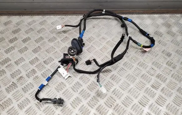 Lexus NX Rear door wiring loom 8215378010