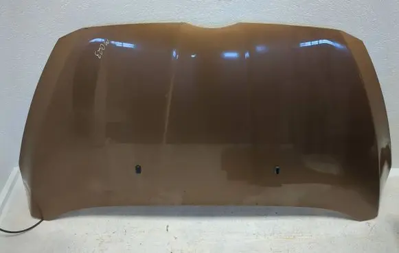 Engine bonnet/hood