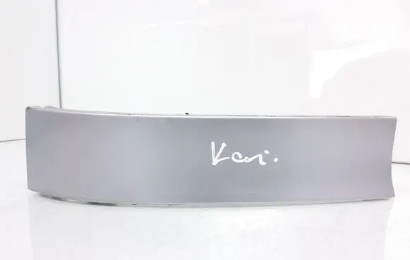 Rear/tail light trim molding
