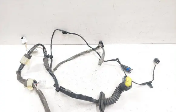 Renault Espace - Grand espace IV Rear door wiring loom 8200782551