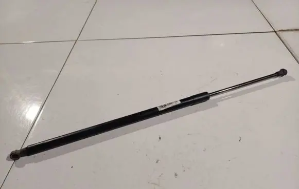 Tailgate/trunk strut/damper