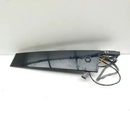 Ford Mustang Mach-E Front door glass trim molding LJ8BR20898ADW LJ8T14A626BFW