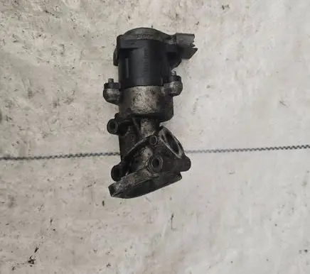EGR valve