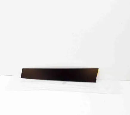 Land Rover Range Rover Sport L320 Front door glass trim molding LR016344