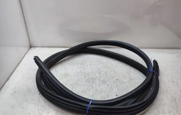 Nissan Qashqai+2 Rear door rubber seal (on body) 