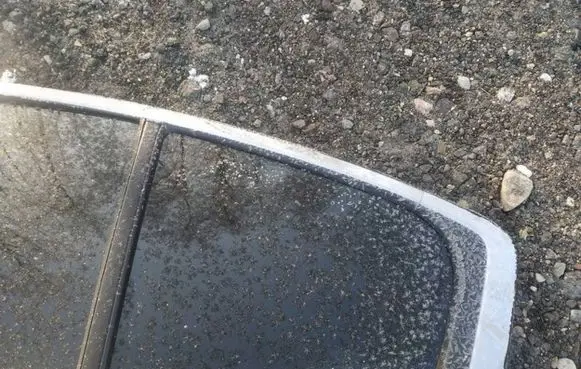 Toyota Avensis T270 Rear vent window glass 