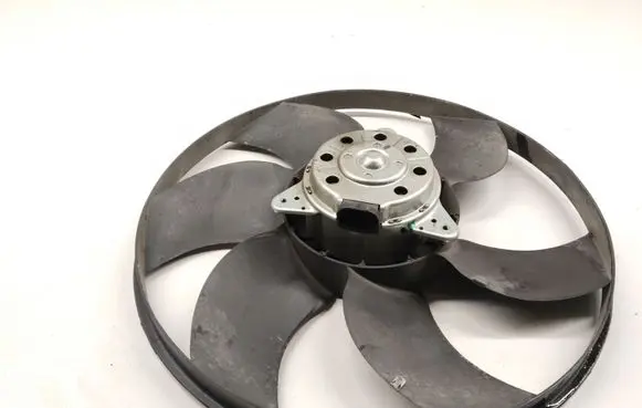 Renault Kangoo II Electric radiator cooling fan 5000241 3R525110